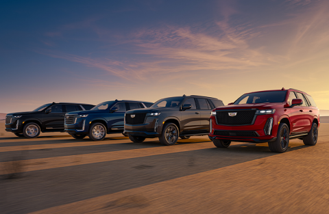 Fleet of business lease vehicles